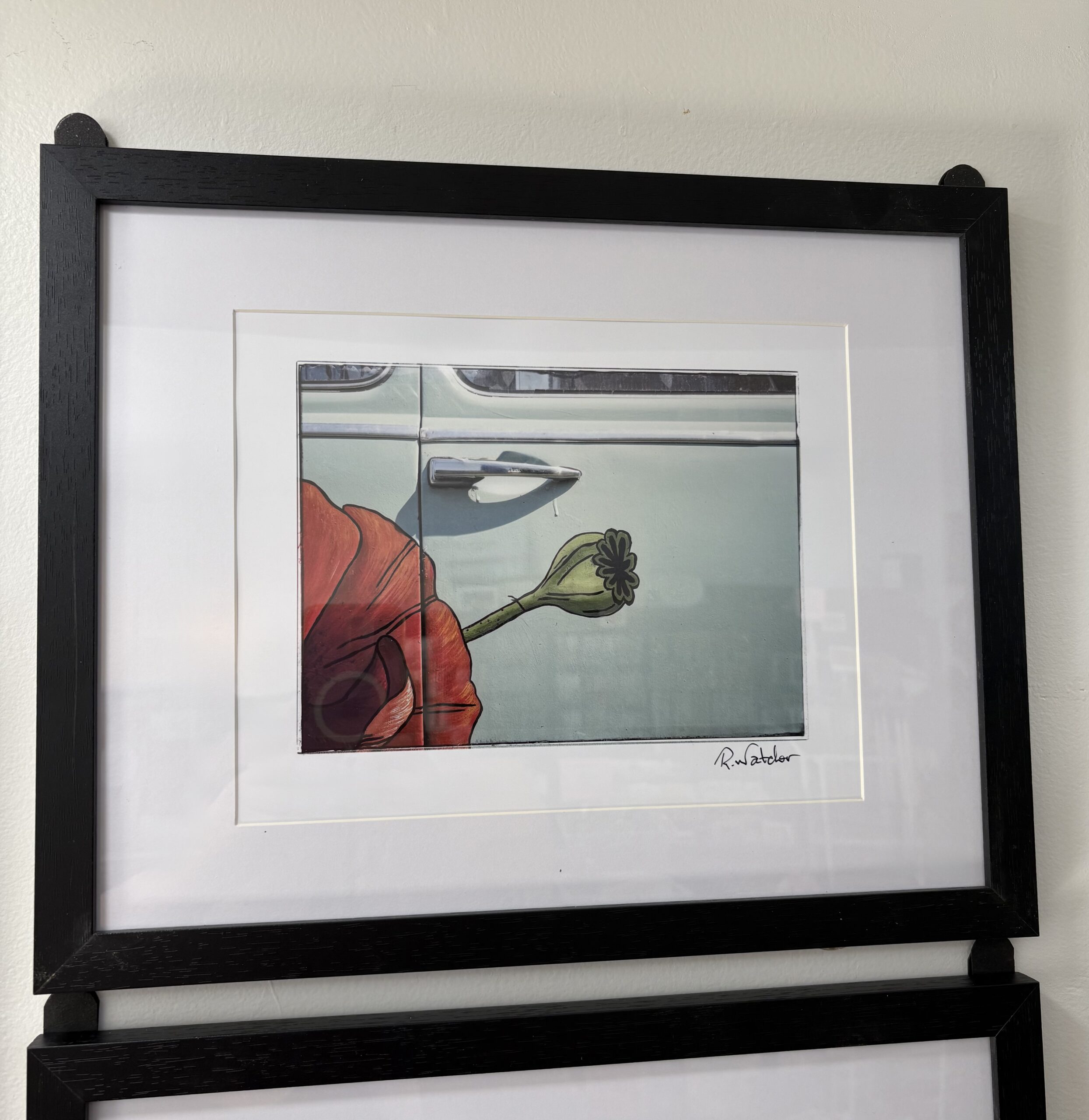 Framed Photography - Painted Poppy Ride
